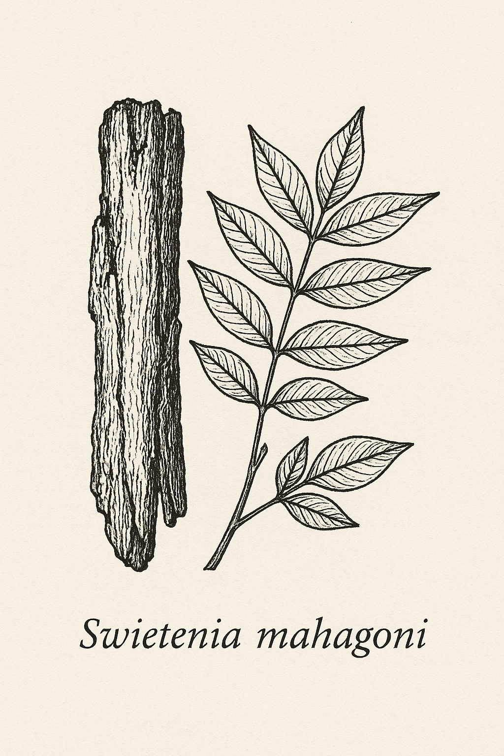 Orchid Silk Pillowcase