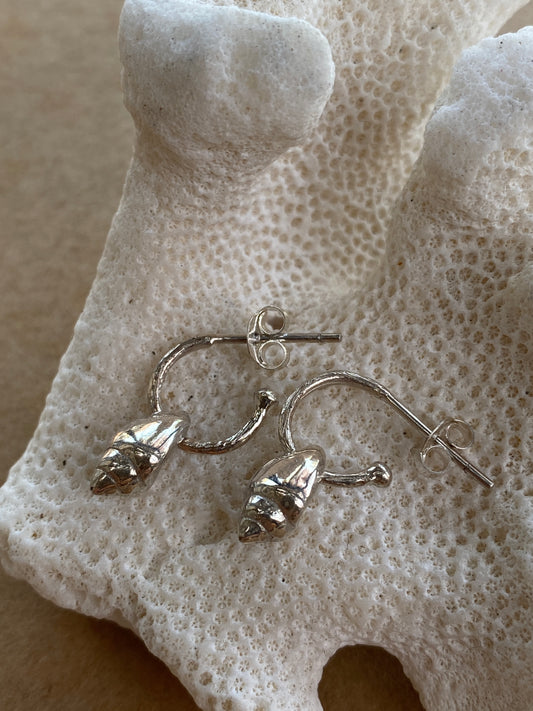 Bali Shell Earrings Loops in Silver