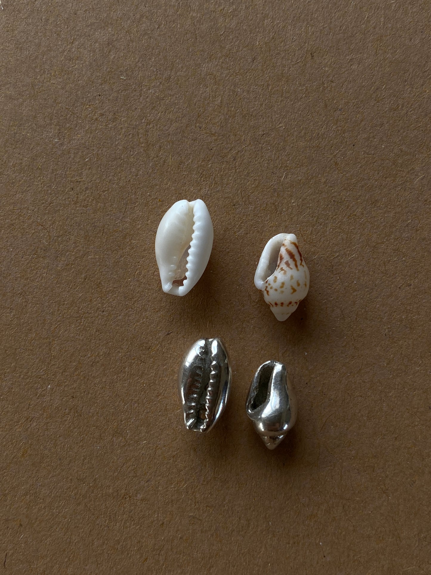 Bali Cori Shell earrings loops in Silver